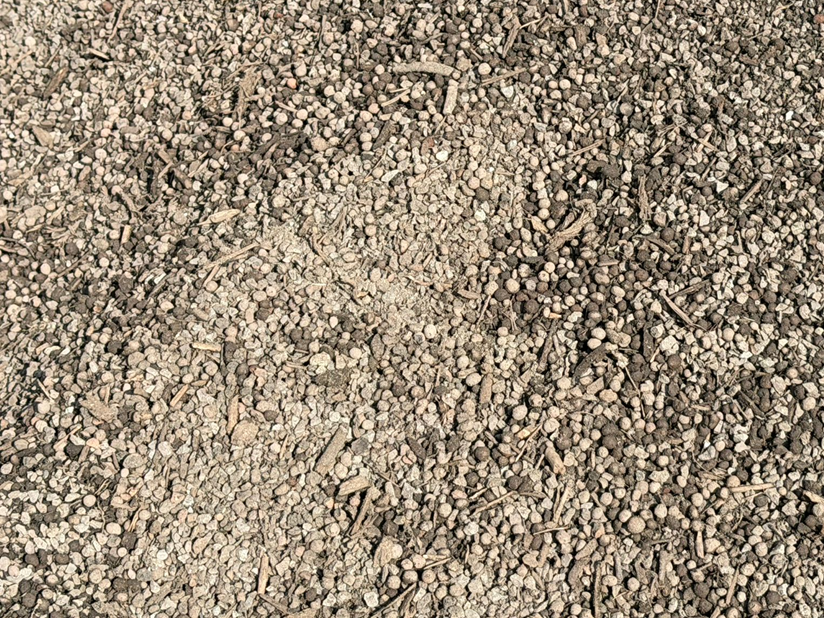 Grasdalfundering